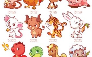 万家灯火是什么生肖？万家灯火打一正确动物