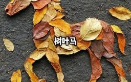 秋天的生肖是什么生肖？十二生肖哪些是秋肖