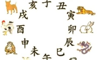 午时是什么生肖？十二生肖12时辰顺序