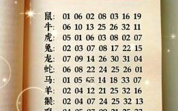 五九合二数是什么生肖？五九合二数打一数字