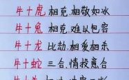 牛上牛下是什么生肖？牛上牛下最正确答案