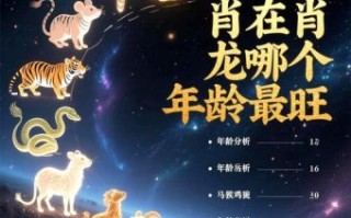 有钱有财是什么生肖？木金有钱两头找是什么生肖