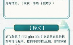 鸡飞狗跳猛虎来是什么生肖？鸡飞狗跳猛虎来最佳答案