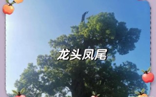 龙头凤尾是什么生肖？龙头凤尾打一准确动物