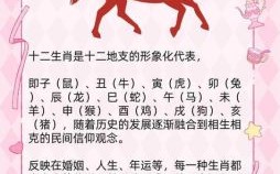 深字是什么生肖？深猜一生肖和数字