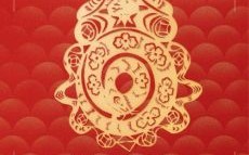 宕是什么生肖？展字打一准确生肖