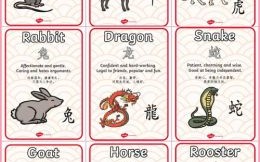 儿子是什么生肖？“儿子”打一最佳生肖