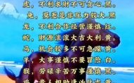 欲钱买遨游天空的动物是什么生肖？遨游是什么生肖