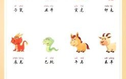 24的生肖是什么？十二生肖分别是什么