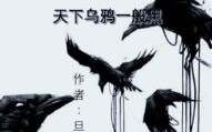 天下乌鸦一般黑是什么生肖？天下乌鸦一般黑准确生肖