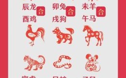 麦是什么生肖？麦打一个准确生肖