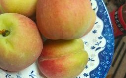 人心难测是什么生肖？一五指什么动物