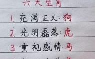 真心是什么生肖？真心打一最佳生肖