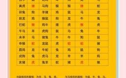 猴的六个合生肖是什么？猴跟哪个生肖是6合