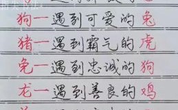 天生一对是什么生肖？天生一对正确答案动物