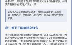 双生是什么生肖？双胞胎最佳答案一肖