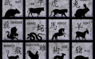 共有四个口是什么生肖？共有四个口打一准确生肖