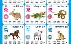 小孩的生肖是什么？三岁小孩打一个生肖