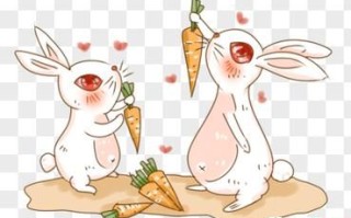 吃红萝卜是什么生肖？十二生肖谁是胡萝卜