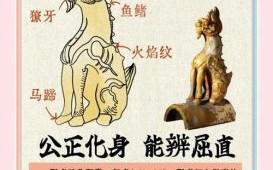 脊是什么生肖？脊椎动物指的是什么