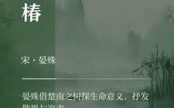 椿是什么生肖？椿字的含义是什么