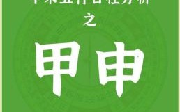 甲申是什么生肖？申年是什么年