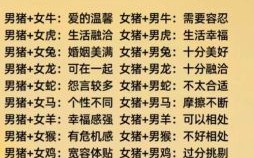 2oo7年是什么生肖？2007年属猪男孩一生运势