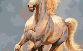 生肖是什么马？澳门马的十二生肖是些什么