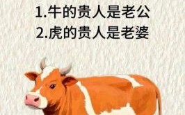 一生一世是什么生肖？一生一世打一准确动物