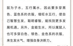 追老鼠是什么生肖？追老鼠最佳答案生肖