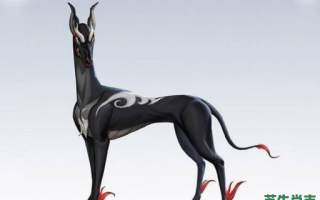 天犬是什么生肖？十二生肖谁是哮天犬