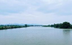 一江春水是什么生肖？一江春水打一准确生肖