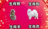 天生美丽的生肖是什么？十二生肖天生丽质的动物