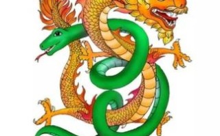 蛇会冬眠龙会飞是什么生肖？蛇会冬眠龙会飞正确答案