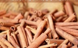 蟾宫折桂是什么生肖？蟾宫折桂打一最佳动物