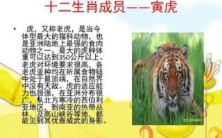 夏虫朝菌是什么生肖？起字打一准确生肖