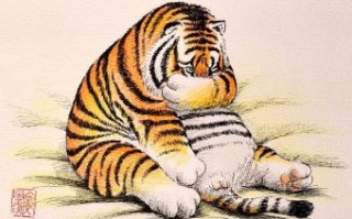 虎妞是什么生肖？虎妞是什么意思