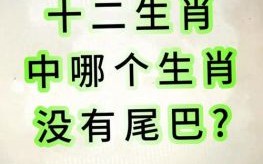 没有尾巴的生肖是什么？无尾巴打一准确生肖