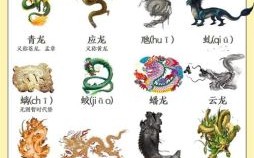 伯是什么生肖？龙代表几个生肖