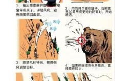 野外生存是什么生肖？野外生存正确答案一肖