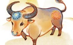 五谷丰收是什么生肖？五谷丰收打一最佳动物