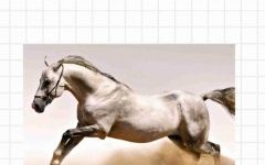 怒是什么生肖？怒字代表最佳生肖