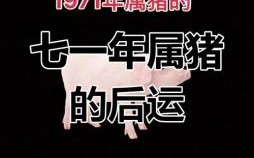 1971年是什么生肖？1971年属猪的最佳配偶