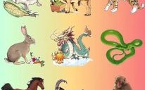 春光明媚是什么生肖？春光明媚打一正确动物