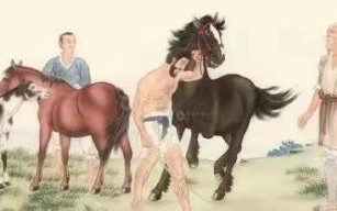 弼马温是什么生肖？弼马温是个什么数字