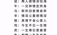 情深意重是什么生肖？12生肖谁最重情义