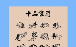 耳朵是什么生肖？流氓打一最佳生肖