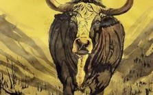 雨后各张罗是什么生肖？雨后彩虹打一生肖