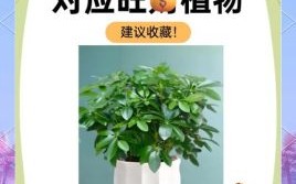 大树底下是什么生肖？大树底下正确答案一肖