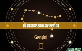 29岁是什么生肖？29岁属啥的正确答案